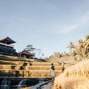 A Guide to Exploring Bali Beyond the Tourist Trail