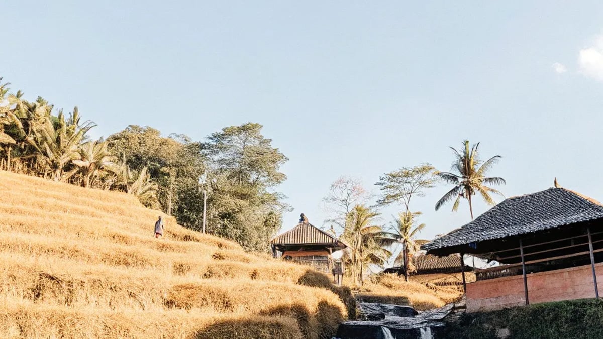 A Guide to Exploring Bali Beyond the Tourist Trail